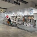 아이앤독 이미지