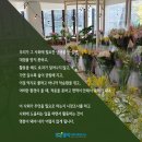 인성헤어샵 이미지