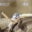 서산아크릴
