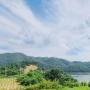 옥천랜드공인중개사사무소 이미지