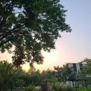 중산작은도서관 이미지