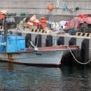 강구중고등학교 이미지