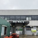 미풍해장국구좌세화점 | 제주여행 3일차 | 미풍해장국 구좌세화점 솔직후기 | 선지 듬뿍 해장국 맛집
