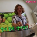 위대한 푸드 이미지