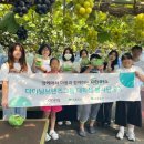 다인농장 이미지