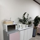 비비드 속눈썹 이미지