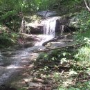 바위산약초