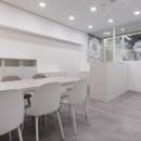 경희대 진 태권도 이미지