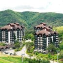 풀베르데 이미지