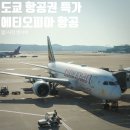 도쿄 항공권 특가, 인천 나리타 에티오피아항공 장단점