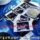 경원잠수 Daum카페