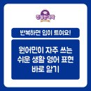 원어민생활영어(기초) | [필수 영어 문장]원어민이 자주 쓰는 생활 영어 표현 필수 기초 영어 문장 13가지 총정리