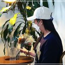 디자인모