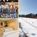 평창 휘닉스파크 | 강원도 스키장 평창 휘닉스파크 숙소 렌탈샵 리프트권 후기