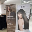 [목동] 오목교 케라스타즈 프리미엄 클리닉 추천 | 프랑크프로보 목동현대하이페리온2점