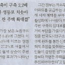 비아서울
