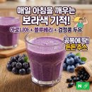 행복한 효소해독 | [공지] 매일 아침 공복에 마시는 보라색 기적! 아로니아 블루베리 검정콩 두유 주스 효능과 후기