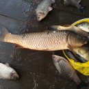 석곡낚시터 이미지