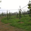 부춘농장 이미지