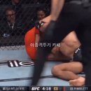 흔한 이종 업로더의 일요일 아침 이미지