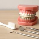 이닥터홍성우치과의원 | 교정치과 고르는 실용적 기준 및 유지 관리 팁