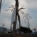 두일농장 이미지