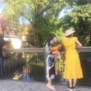 해바라기 하나 이미지