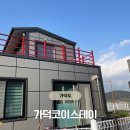 가덕 코이 이미지