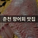 춘천순환로72번길 | (내돈내산) 춘천 향어막회 솔직 후기｜향어회 1kg 38,000원 실화?