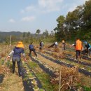 자매마을회관 이미지