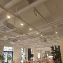 탑스텐동강리조트