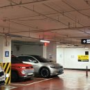 중앙로 | 대전 일렁임 중앙로 금붕어 카페 내돈내산 솔직후기 (feat. 웨이팅)