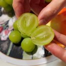 양감농장 이미지