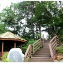 좌구산자연휴양림 이미지