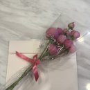 빌리프 | [결혼 준비] W3. 귀차니즘 예신의 일산 웨딩홀 투어! 웨스턴빌리프 당일계약후기💍