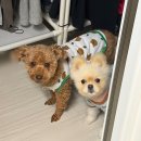 당진황토참숯 | [일상] 31살을 맞이해버린 나의 26년 1월 (●'◡'●)