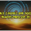 수원-0851 | 2025 축구 스카이박스 완벽 가이드: 럭셔리한 관람의 모든 것!
