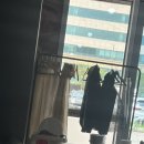 청춘코다리앤아구 | 내포신도시 홍성맛집 청춘 코다리 앤 아구에서 점심부터 아구찜 먹고왔어요.