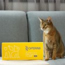 다원부동산공중개인사무소 | 20대에 창업도 안 하고 엑싯으로 4억 번 방법. 좋아하는 일 하면서 충분히 가능!