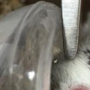 마송 동물병원 이미지