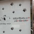 정말귀엽개 이미지