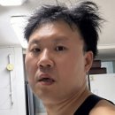 카페돌핀