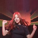 굿데이(goodday) 티스토리