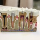 경산라온치과병원 이미지