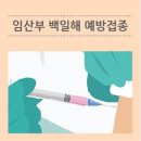 /육아스토리66/ 임신32주_백일해 예방접종