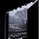 차경 이미지