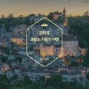 황금테고리