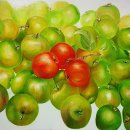 자연愛가 이미지