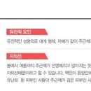 분당연세의원 이미지