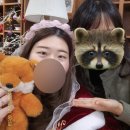 멋찐여우 | 공주 북토크라 쓰고 실패라고 읽기 😞